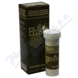 Chytr houba ECOSIN 10x3g