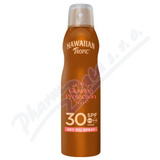 Hawaiian Tropic Protect.  Dry Oil Spray SPF30 180ml