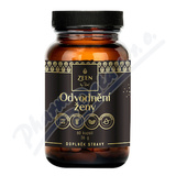 ZEEN by Roal Odvodn�n� �eny cps. 60