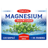 TEREZIA Magnesium+vit. B6 a medu�ka cps. 120+30