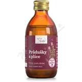 Serafin Pr�du�ky a pl�ce bylinn� �aj koncent. 250ml